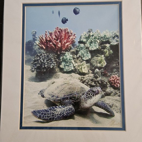 Michael Sweet Photography Hawaii - Sea Turtle - Signed & Matted 11x14 Art Print - Picture 1 of 5